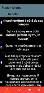 Les Idiomes Français screenshot 3