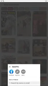 Video Downloader for Pinterest screenshot 0