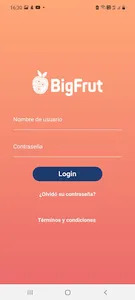 Bigfrut screenshot 1