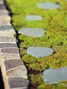 Japanese Garden screenshot 2