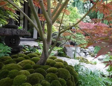 Japanese Garden screenshot 3