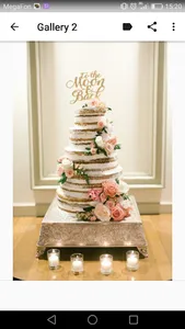 Wedding Cakes screenshot 2