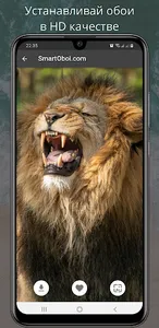Beautiful wallpaper in HD screenshot 0