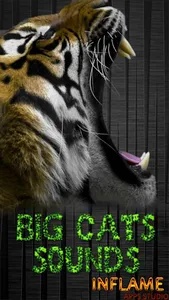 Big cats sounds screenshot 0