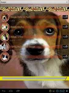 Dog Sounds screenshot 14