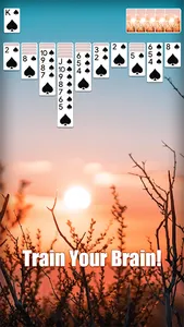 Spider Solitaire - Card Game screenshot 13