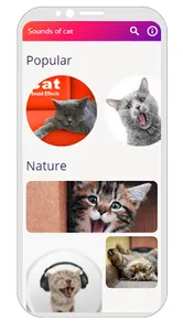 Kitten Wallpaper App screenshot 0