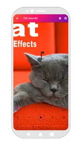 Kitten Wallpaper App screenshot 4