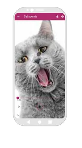 Kitten Wallpaper App screenshot 5