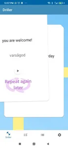 Swedish TOP 2500 words and phr screenshot 8