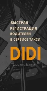 Подключение DiDi Водитель screenshot 0