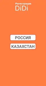 Подключение DiDi Водитель screenshot 1