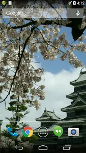 Spring Sakura Blossom Video Wa screenshot 1