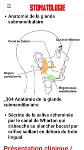Stomatology screenshot 4