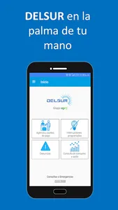 Delsur screenshot 0