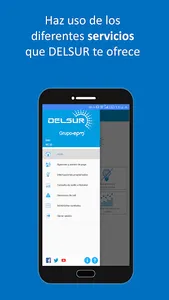 Delsur screenshot 1