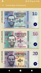 Lilangeni screenshot 2