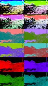 Art Serigraphy-Art Filter App- screenshot 1