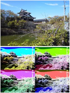 Art Serigraphy-Art Filter App- screenshot 22