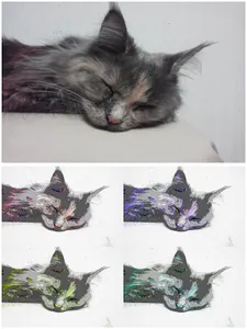 Art Serigraphy-Art Filter App- screenshot 23