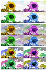 Art Serigraphy-Art Filter App- screenshot 4