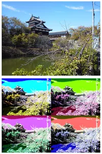 Art Serigraphy-Art Filter App- screenshot 6