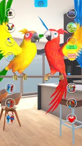 Talking Parrot Couple screenshot 14