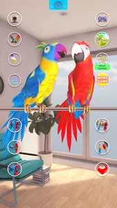 Talking Parrot Couple screenshot 15