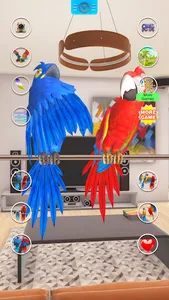 Talking Parrot Couple screenshot 17