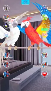 Talking Parrot Couple screenshot 19