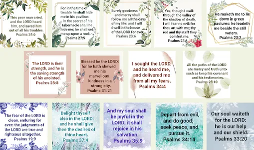 Bible Psalms screenshot 1