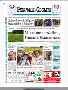 Giornale di Olgiate screenshot 10