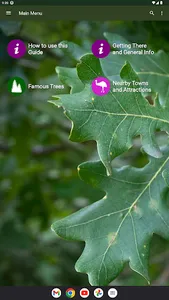 Foresters Wood screenshot 16