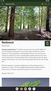 Foresters Wood screenshot 19