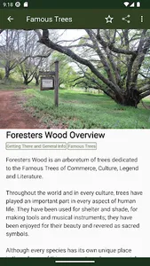 Foresters Wood screenshot 3