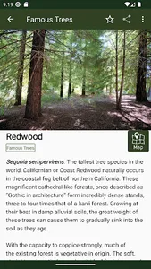 Foresters Wood screenshot 4