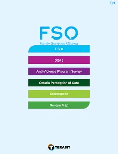 FSO screenshot 0