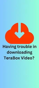 TeraDown: Tera Link Downloader screenshot 1