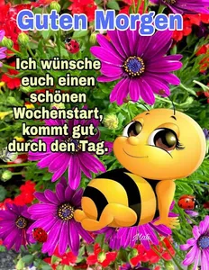 Guten Morgen Tag Nacht 2024 screenshot 3