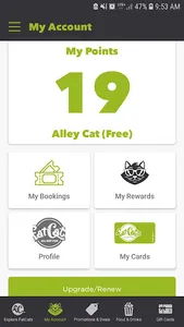 FatCats screenshot 3
