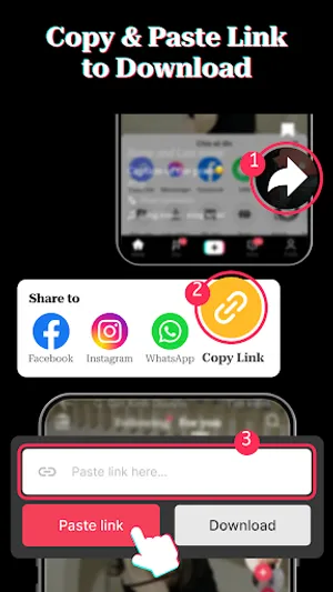 SnapTool: TT Video Downloader screenshot 3
