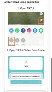 Video Downloader for TikTok -  screenshot 2