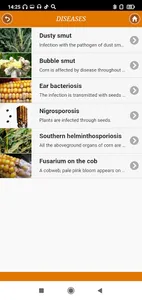 Corn: from A to Z screenshot 2