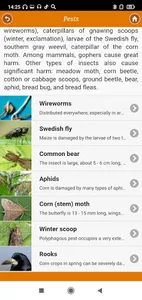 Corn: from A to Z screenshot 3