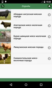 Крупный рогатый скот screenshot 2