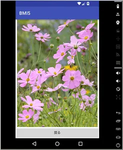 BMI5app screenshot 10