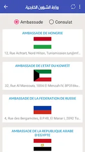Ministère des affaires étrangè screenshot 3