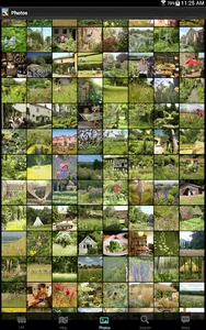 Wild Garden Weekends screenshot 4