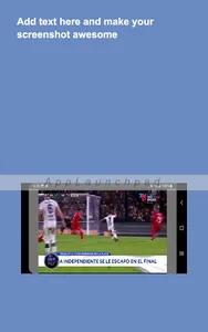 TV Argentina en Vivo HD screenshot 12