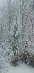 Photo Frame - Snowfall Image F screenshot 2
